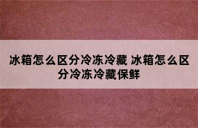 冰箱怎么区分冷冻冷藏 冰箱怎么区分冷冻冷藏保鲜